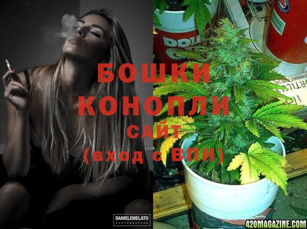 молекула духа Алзамай