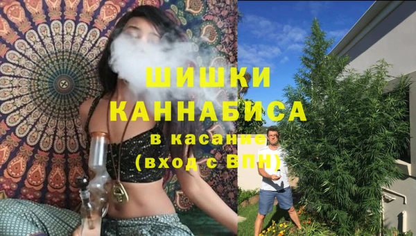 молекула духа Алзамай