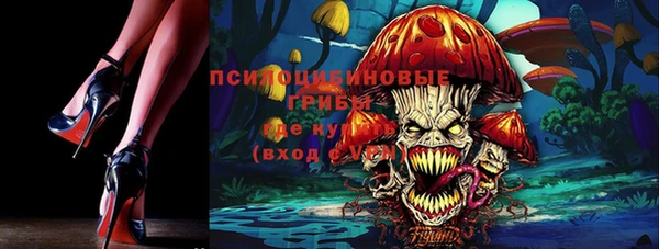 ешки Мегион