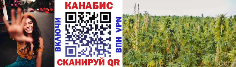 купить наркоту  Арзамас  блэк спрут ONION  Бошки марихуана VHQ 
